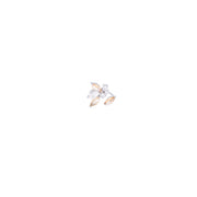 Ivory Luster Ring